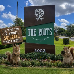 sign with squirrel 